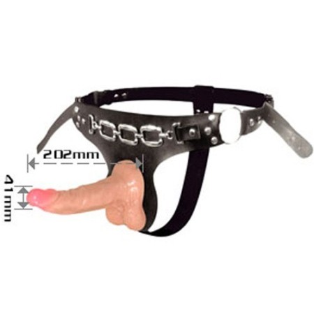 Realistic Strap on Dildo With Passionate Harness For Couples